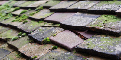 Kintbury roof repair costs